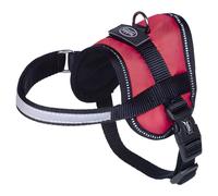 Nobby Seguro Mini- Vaisselle Rouge, 31-40 CM, Réfléchissant, Ergonomique pour