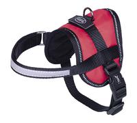 Nobby Seguro Mini- Vaisselle Rouge, 31-40 CM, Réfléchissant, Ergonomique pour