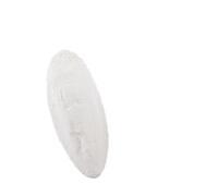 Nobby Sepia-Coquillages !!PRIX DU JOUR!! 3-4 pouces, carton d'environ 1 kg
