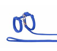 Nobby Set de Laisse/Harnais en Nylon pour Chat Bleu