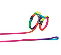 Nobby Set de Laisse/Harnais en Nylon pour Chat Couleurs de l'Arc