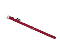Nobby South Collier, 37 cm, vert