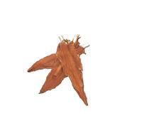 Nobby StarSnack Barbecue Chicken Stick env. 900 g, 13,5 cm