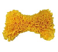 Nobby Tapis à renifler Bone