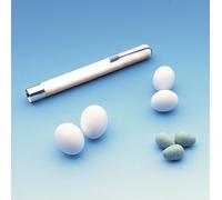 Nobby Œufs de canari sachet de 100 pièces