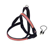 Nobby Visible Harnais Clignotant pour Chien Rouge Taille L