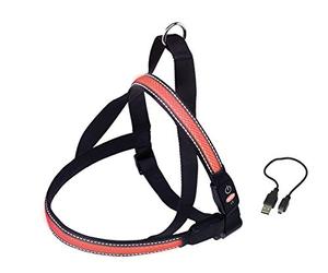 Nobby Visible Harnais Clignotant pour Chien Rouge Taille S