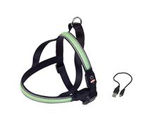 Nobby Visible Harnais Clignotant pour Chien Vert Taille S