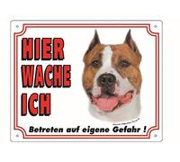 Nobby Warntafel American Staffordshire Terrier
