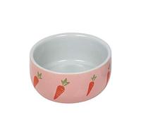 Nobby Wortel Bol en céramique pour rongeurs Rose Ø 11 x 4,5 cm 0,3 l