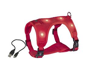 Nobbys 80750-01 Flash en Maille Harnais de sécurité LED Rouge Petite