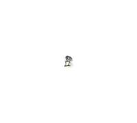 The Noble Collection Figurine Buck l'hippogriffe – Harry Potter Les Créatures Magiques