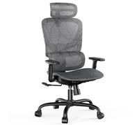 NOBLEWELL Chaise de Bureau Ergonomique, Fauteuil de Bureau avec Support Lombaire, Fauteuil à Dossier Haut Respirant avec accoudoir de Chaise réglable 3D en Maille respectueuse de la Peau (Noir)