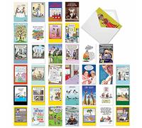 NobleWorks - Assortiment de 36 cartes d'anniversaire amusantes assorties avec enveloppes, humour Edgy B-Day pour homme, femme (36 motifs, 1 de chaque) - Favoris d'anniversaire AC2911BDG-B1x36