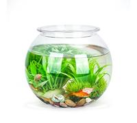 Nobleza - Bocal à Poissons, Ronde Aquariophilie Plastique, 17.5 cm