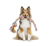 Nobleza - Corde de Jouet pour Chien 100% Coton, bénéfique pour la santé mentale du Chien ， Santé Dentaire et Nettoyage des Dents ， Meilleur Cadeau pour Tous Les Types de Chiens （Beige et Marron）