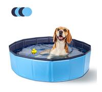 Nobleza Piscine pour Chien, Rigide Bassin, Baignoire Pliable pour Petit et Grande, Chat, 120 * 30cm, M, Bleu