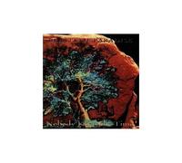 Beasts Of Paradise – Nobody Knew The Time – CD – Intuition