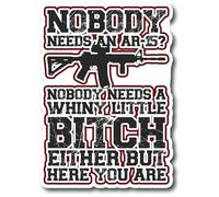 Nobody Needs an AR-15 ? Nobody Needs A Whiny Little Bitch Either But Here You are | Excellente idée cadeau | Lot de 2 autocollants de 12,7 cm | S11290