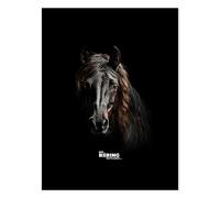 NoBoringSuitcases.com Valises, Valise Soute, Grande Valise, Serrure TSA, Valise Soute 23kg, Valise Rigide, Valise Moyenne Taille, Valise Grande Taille (67cm - 72L), (Cheval Frison - Noir)