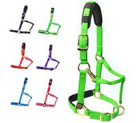 Nobranded Licol de Cheval réglable avec Rembourrage rembourré (Vert, XL)