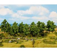 NOCH 0024602 Assortiment darbres forêt de feuillus 140 à 180 mm 6 pc(s)