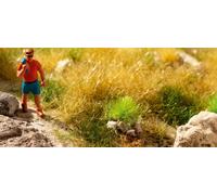 Noch 06900 - Touffes d'herbe PROFI fleuries, 9 mm, 25 pièces