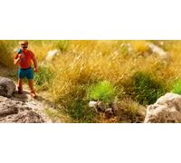 Noch 06920 - Touffes d'herbe rocailleuse pierres blanches et beiges 6 mm 25 pces