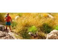 Noch 06921 - Touffes d'herbe rocailleuse avec pierres grises, 6 mm, 25 pces