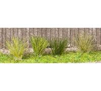 Noch 07006 - Touffes d'herbes XL, vertes-brunes, 9 mm, 104 pièces