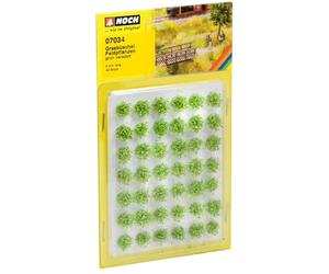 Noch - 07034 - Touffes D'herbes - Plantes Agricoles
