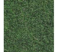 NOCH 07102 Paquet D'Herbe Vert Clair 50 Gr. ( Hauteur 6 MM