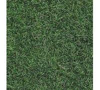 NOCH 07102 Paquet D'Herbe Vert Clair 50 Gr. ( Hauteur 6 MM