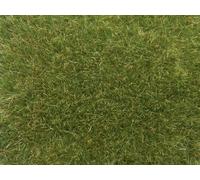 Noch 07118 Herbe Sauvage Multicolore