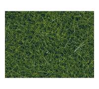 NOCH 07120 Herbes sauvages vert foncé