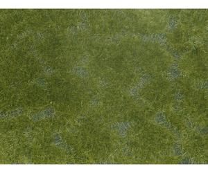 NOCH 07252 Plante couvre-sol aménagement paysager vert foncé