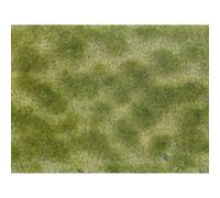 NOCH 07253 Plante couvre-sol aménagement paysager vert, beige