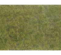 NOCH 07254 Plante couvre-sol aménagement paysager vert, marron