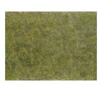 NOCH 07254 Plante couvre-sol aménagement paysager vert, marron