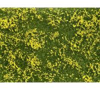 NOCH 07255 Plante couvre-sol aménagement paysager jaune