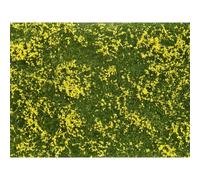 NOCH 07255 Plante couvre-sol aménagement paysager jaune