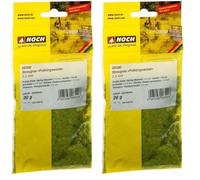 Noch - 08300 - Herbe, Vert Moyen, 2, 5 Mm, Petit (Lot de 2)