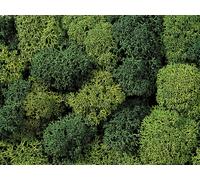 NOCH 08621 Paquet De Lichens Vert Clair Et Foncé Gr. 75