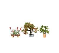 NOCH 14020 Coffret Paysage H0 Spur 1:87 Plantes décoratives Laser-Cut