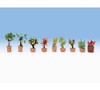 NOCH 14082 Échelle N Pots Avec Plantes et Fleurs pour Décor King Jardins (Pièces