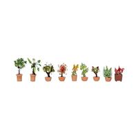 Plantes décoratives NOCH 14082 modèle fini N 9 pc(s)