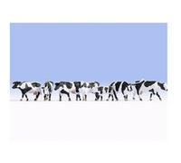 NOCH 15725 1 pc(s) G