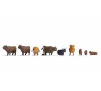 Noch 15728 Bovins des Highlands, Divers