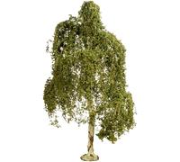 NOCH 20120 Arbre bouleau verruqueux 180 mm 1 pc(s)