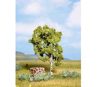 NOCH 21640 Bouleau Haut 11,5 Cm